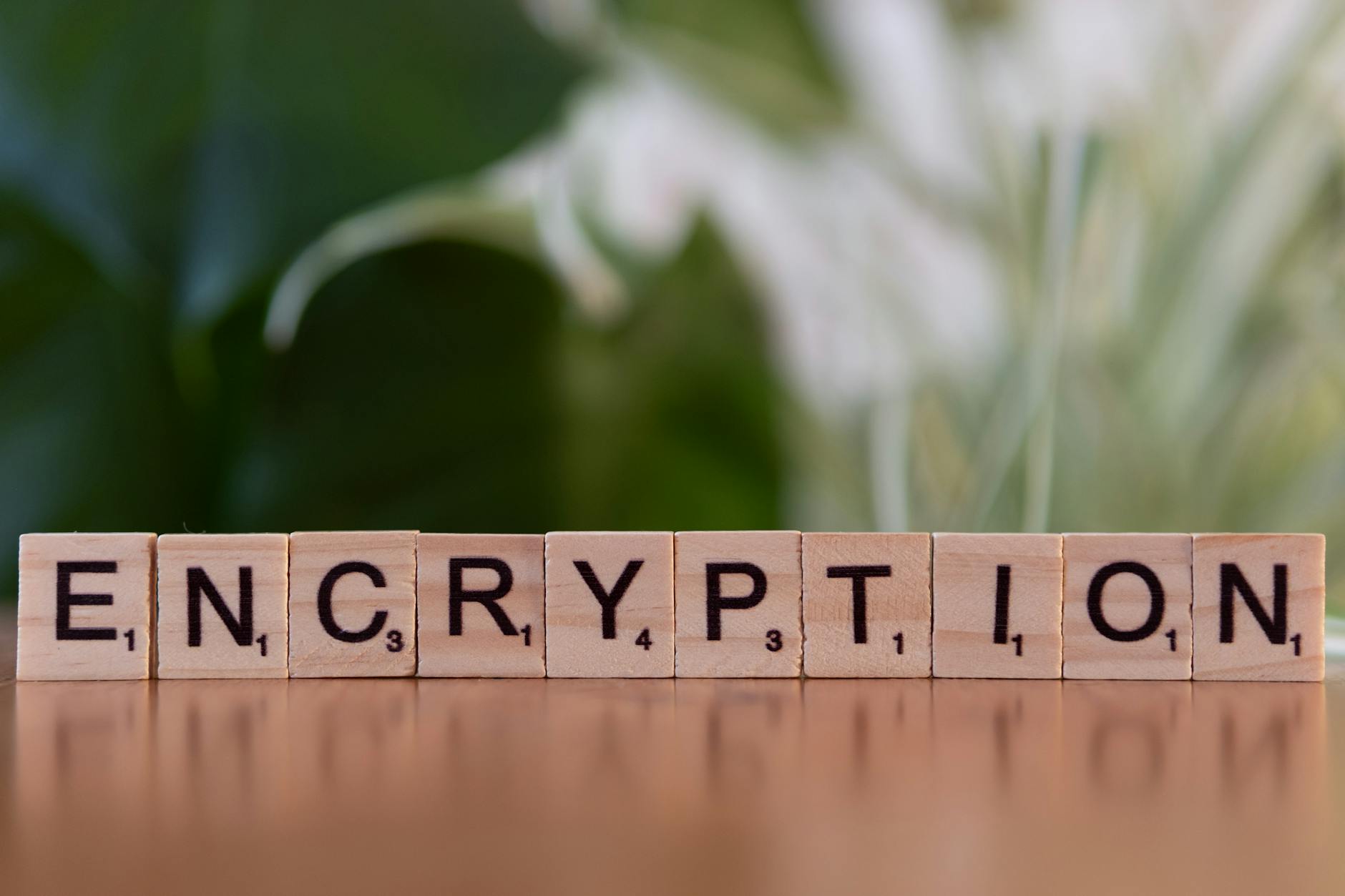 Drewniane klocki układające się w słowo encryption na biurku